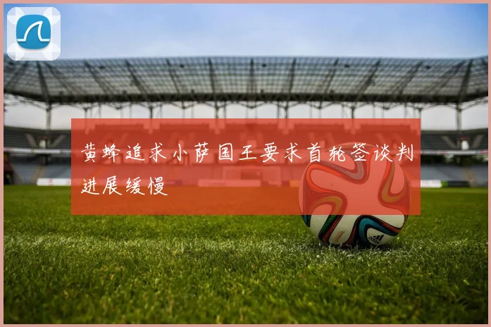 黄蜂追求小萨国王要求首轮签谈判进展缓慢