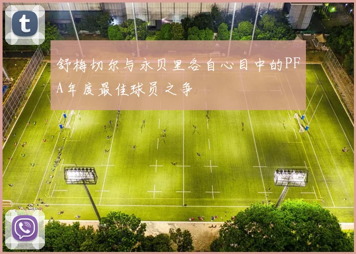 舒梅切尔与永贝里各自心目中的PFA年度最佳球员之争